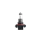 H13 PIRNID