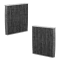 SALONGIFILTRID