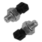 ÕLIANDURID