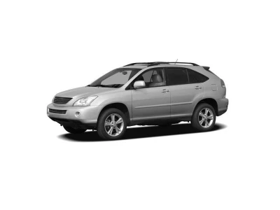 LEXUS RX (XU30), 06 - 08 autovaruosad