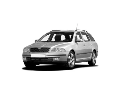 SKODA OCTAVIA, 04 - 08 autovaruosad