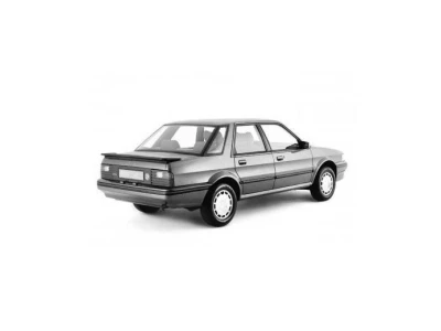 ROVER MONTEGO, 84 - 93 autovaruosad