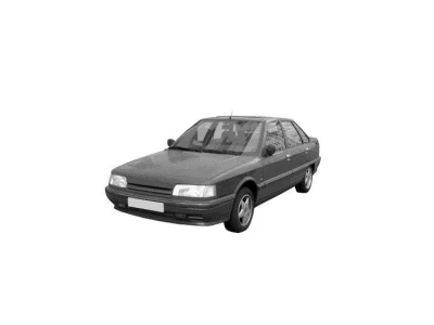 RENAULT 21, 89 - 95 autovaruosad