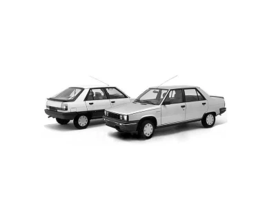 RENAULT 9/11, 81 - 89 autovaruosad
