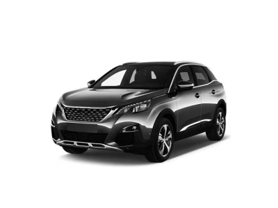 PEUGEOT 3008, 16 - 21 autovaruosad
