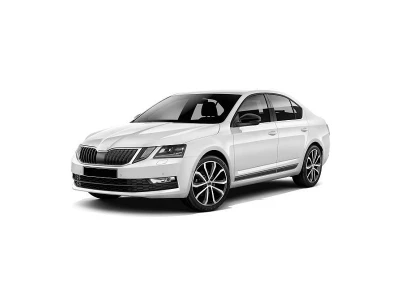 SKODA OCTAVIA, 17 - 19 autovaruosad