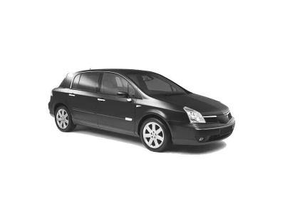 RENAULT VEL SATIS, 02 - 09 autovaruosad