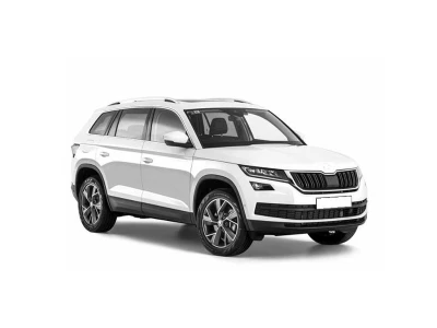 SKODA KODIAQ, 17 - 24 autovaruosad