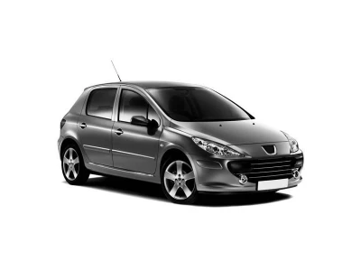 PEUGEOT 307, 05 - 07 autovaruosad