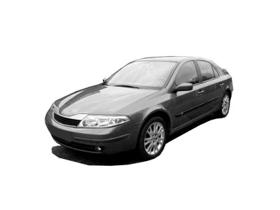 RENAULT LAGUNA, 05 - 07 autovaruosad