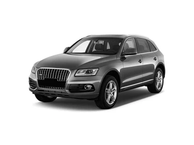 AUDI Q5 (8R), 12 - 17 autovaruosad