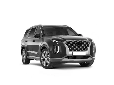 HYUNDAI PALISADE, 20 - 24 autovaruosad