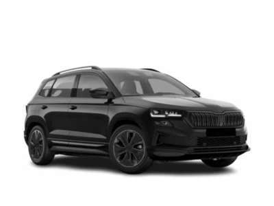 SKODA KODIAQ, 24 - autovaruosad