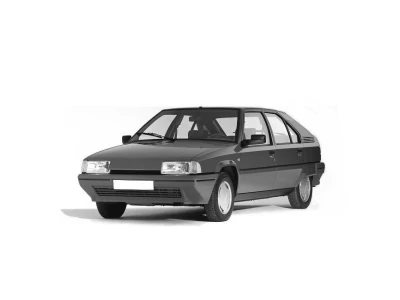 CITROEN BX, 83 - 94 autovaruosad
