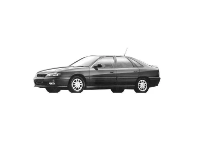 RENAULT SAFRANE, 96 - 00 autovaruosad