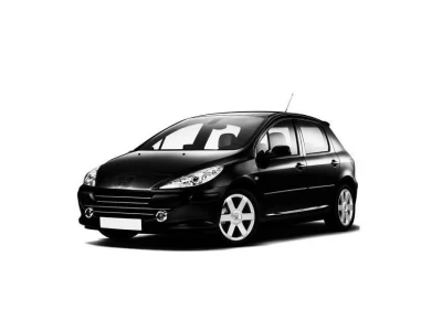 PEUGEOT 307, 01 - 05 autovaruosad