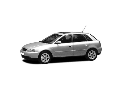 AUDI A3 (8L), 00 - 03 autovaruosad