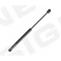 PAGASILUUGI AMORT GS19001