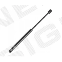 PAGASILUUGI AMORT GS19005