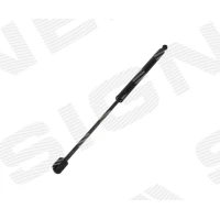 PAGASILUUGI AMORT GS190706