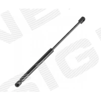 PAGASILUUGI AMORT GS19079