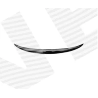 TAGALUUGI SPOILER PBM06016VCA