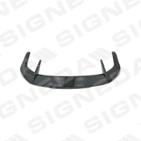 TAGALUUGI SPOILER PBM06021M