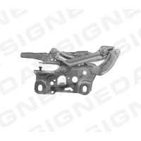 KAPOTI HING PBM21002KL