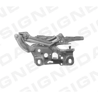 KAPOTI HING PBM21002KR