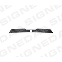 TAGALUUGI SPOILER PDG06003A