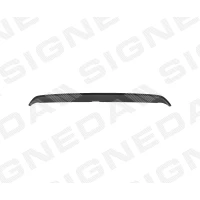 TAGALUUGI SPOILER PDG06005A