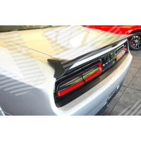 TAGALUUGI SPOILER PDG06008A