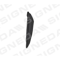 ESIUSTE KAITSE PDG99920CBR(O)