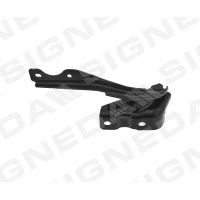 KAPOTI HING PMZ21074AR