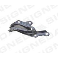 KAPOTI HING PTY21105AR