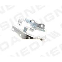 KAPOTI HING PTY21197AR