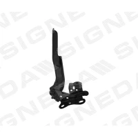 KAPOTI HING PTY21260AR