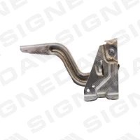 KAPOTI HING PTY21263OL