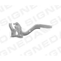 KAPOTI HING PTY22266AR