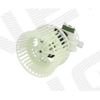 SALONGIPUHUR RDOPF001A