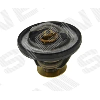TERMOSTAAT TDG002O